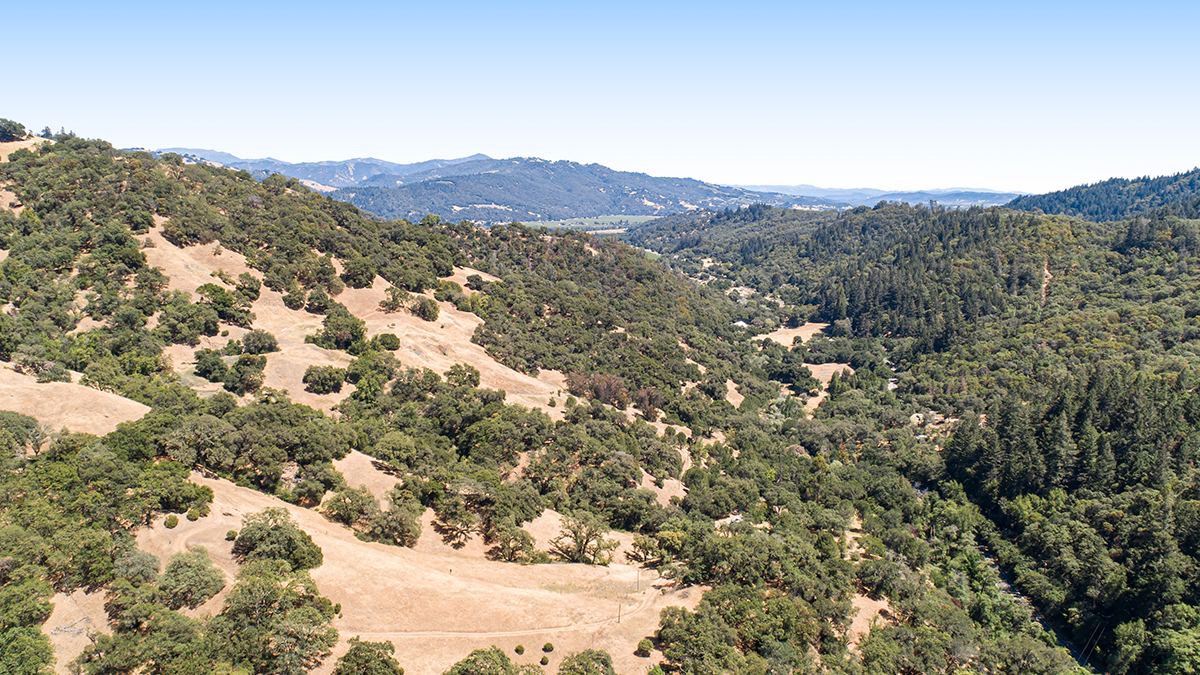 Oak-covered ranchland on Highway 128 near Cloverdale