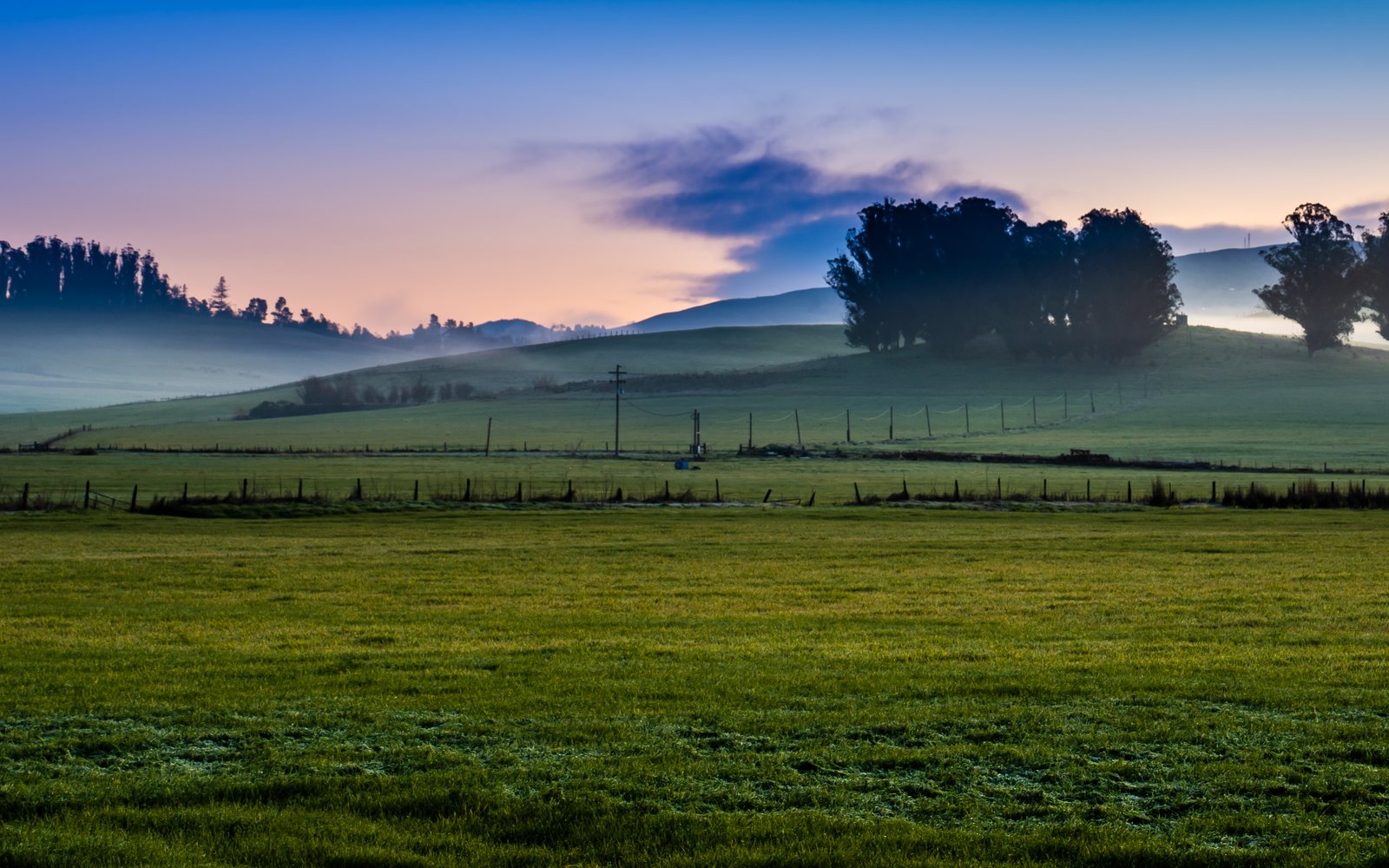 Fog crossing pasture along Pepper Road west of Petaluma