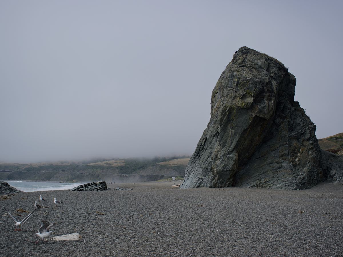 A sea stack in fog at Bodega Bay