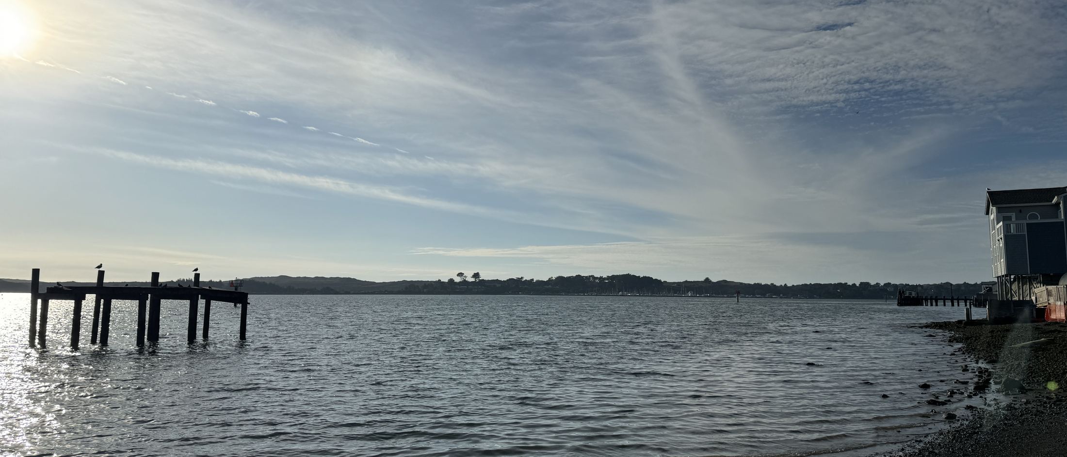 Bodega Bay harbour under low winter sun