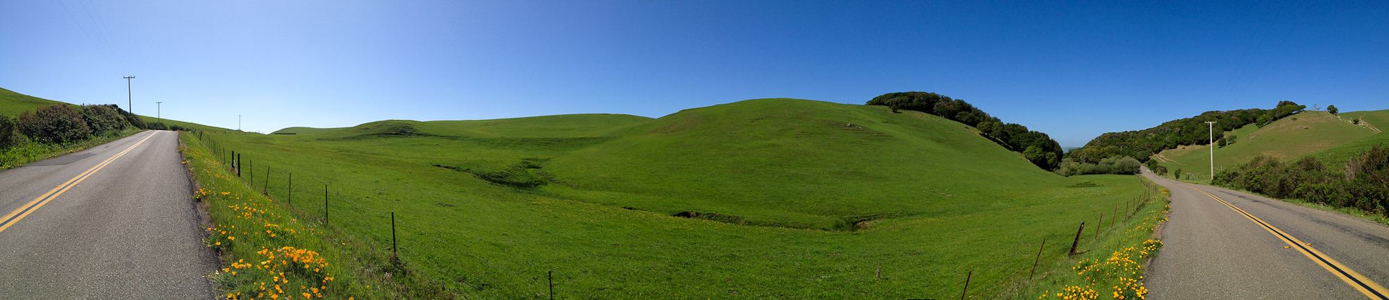 Chileno Valley Road winding between green pastures west of Petaluma
