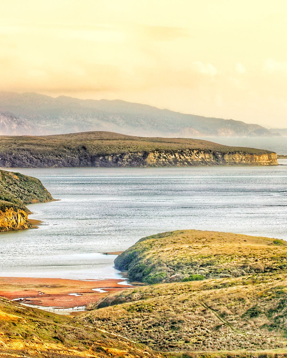 Coastal pasture at Creamery Bay