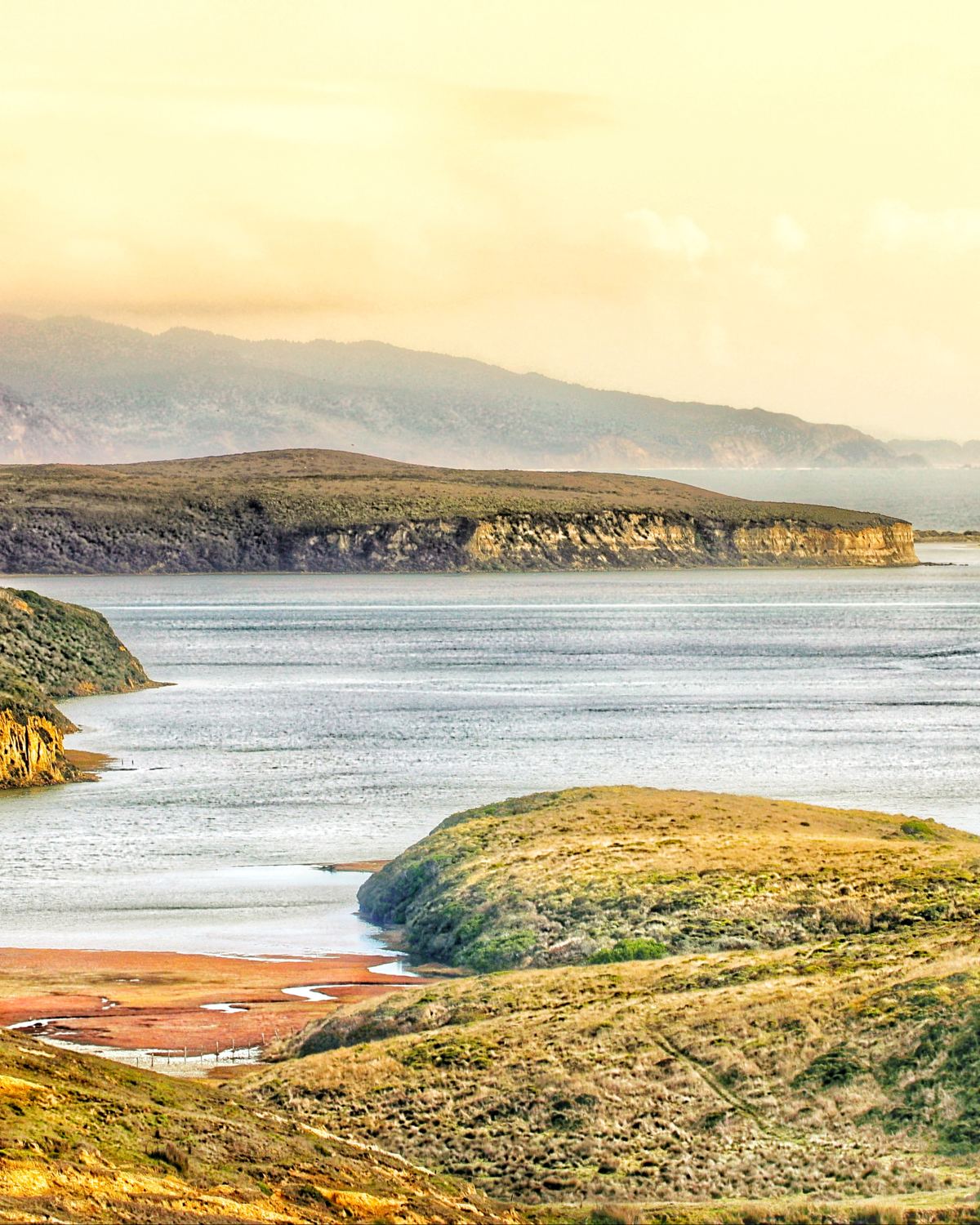 Coastal pasture around Creamery Bay in northern Marin County